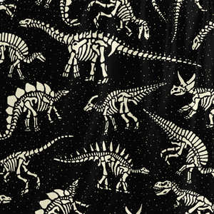 Personalized Diggin' Dinos Hooded Blanket