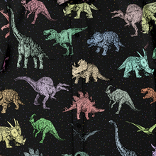 Load image into Gallery viewer, Personalized Dinotastic Button-Up Shirt