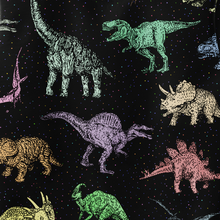 Load image into Gallery viewer, Personalized Dinotastic Sweatshirt