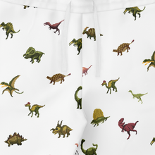 Load image into Gallery viewer, Personalized Pixelsaurs Sweatpants