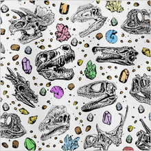 Load image into Gallery viewer, Personalized Dino Relics Sweatshirt